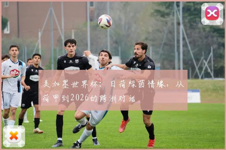 美加墨世界杯：日荷绿茵情缘，从荷甲到2026的跨洲对话