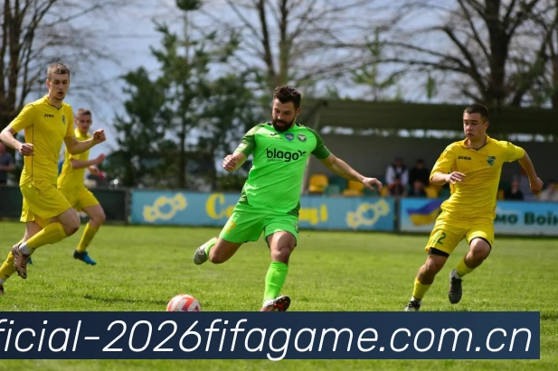 FIFA官方数据授权认证