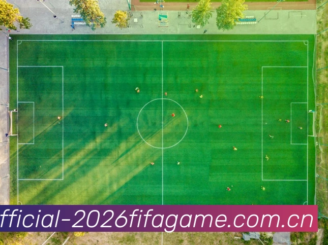 用户
